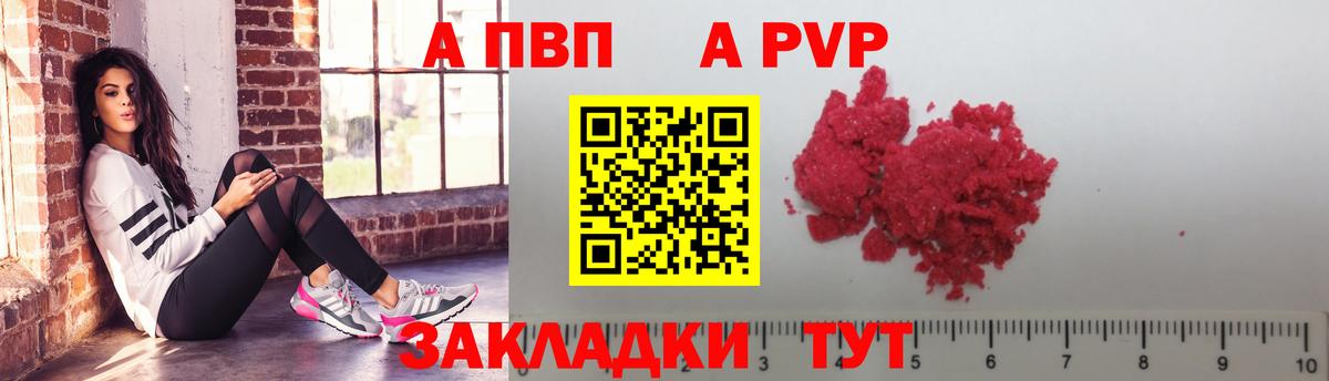 Alfa_PVP СК КРИС Кириши