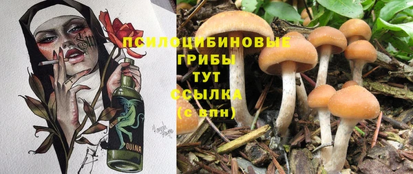 гашиш Алексин