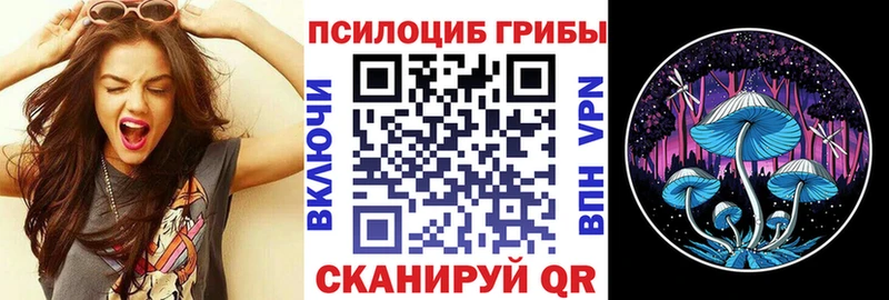 Галлюциногенные грибы Cubensis Кириши