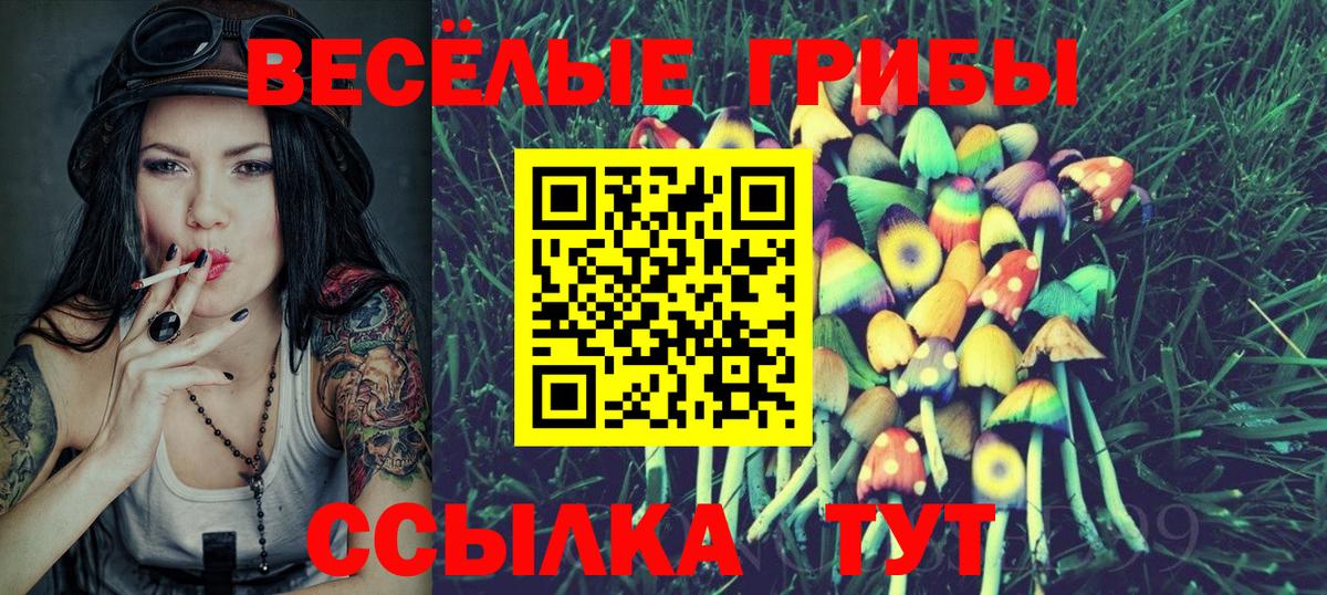 Галлюциногенные грибы Cubensis  Вход с VPN  Кириши 