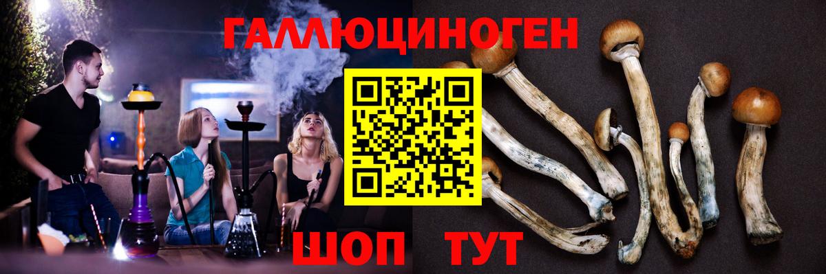 Галлюциногенные грибы мухоморы Кириши